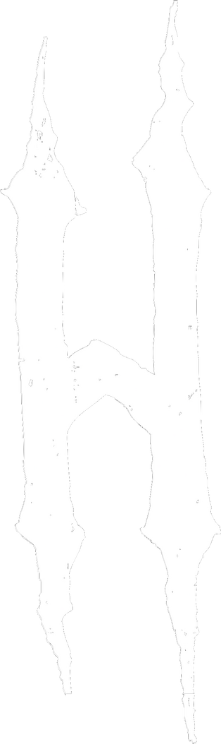 HONESTGANG logo